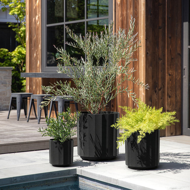 column planter trio