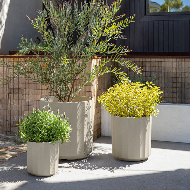 column planter trio
