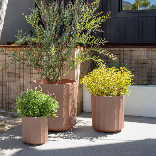 column planter trio