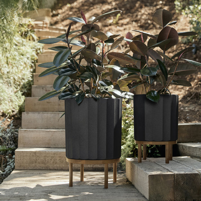 column raised duo