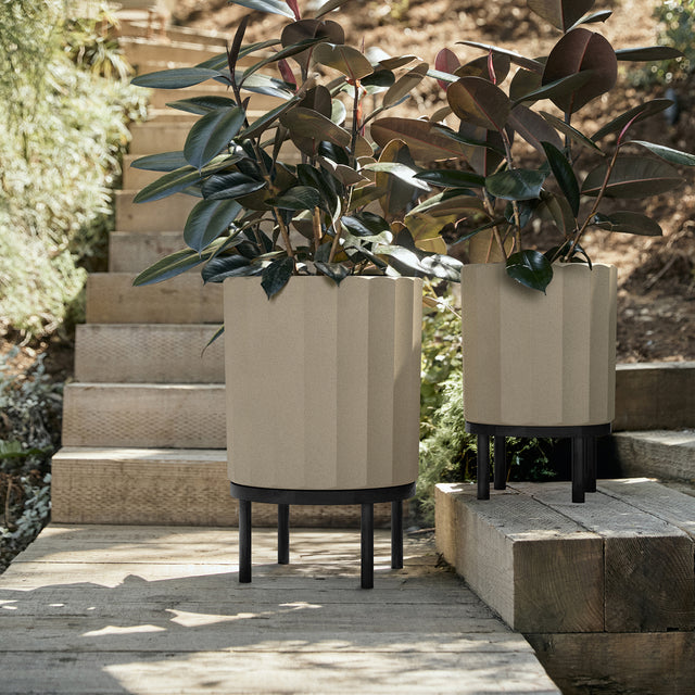 column raised duo