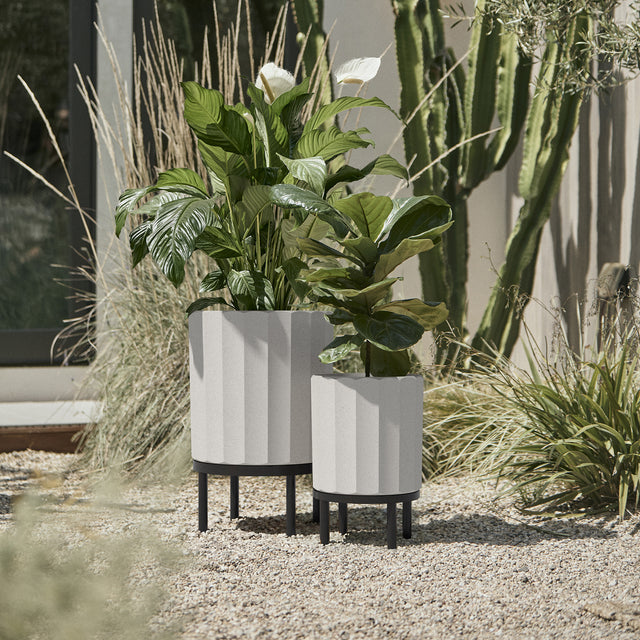 column raised duo