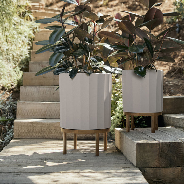 column raised duo