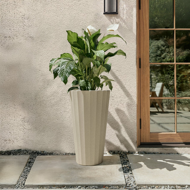 column tall planter
