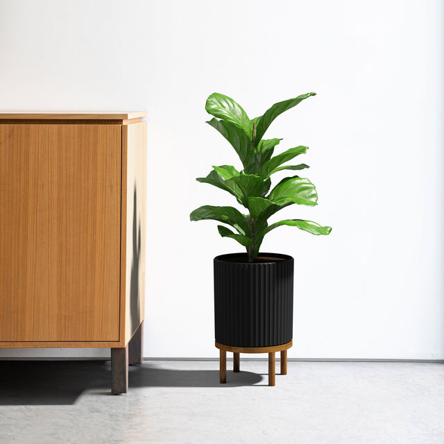 demi raised planter