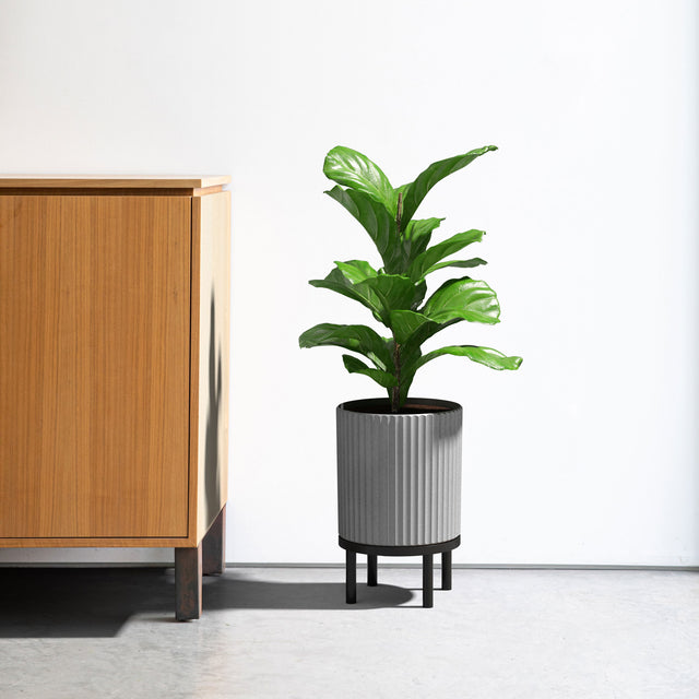 demi raised planter