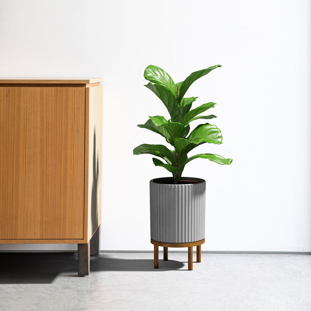 demi raised planter