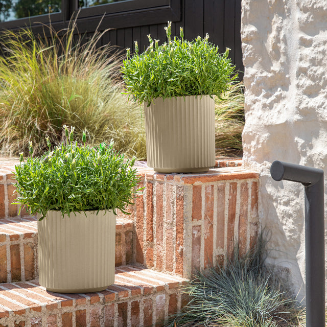 demi planter