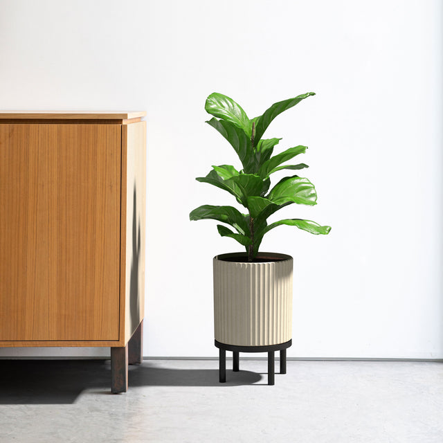 demi raised planter