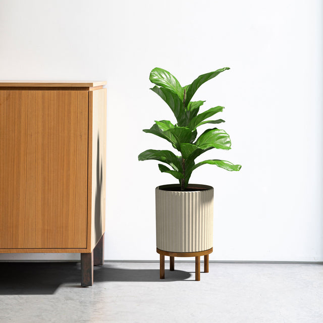 demi raised planter