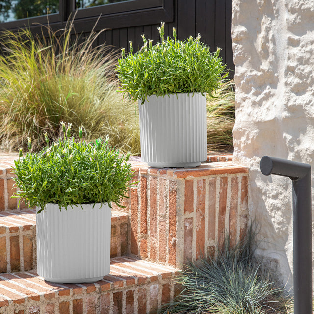 demi planter