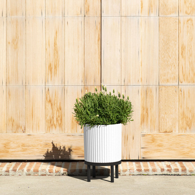 demi raised planter