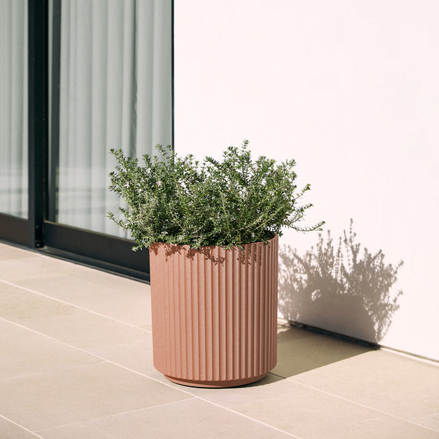 demi planter