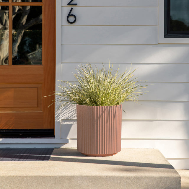 demi planter