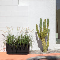 demi long planter