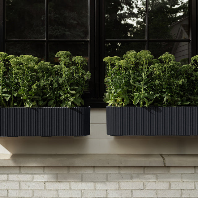 demi railing planter