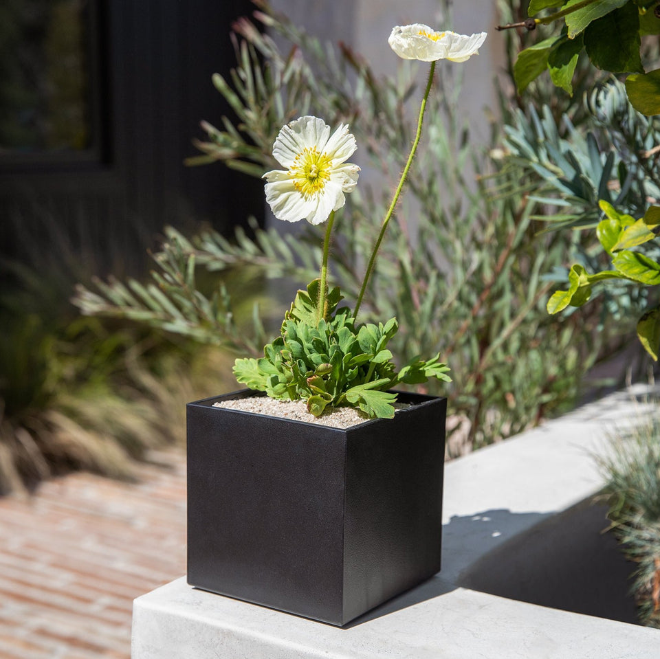 geo cube planter