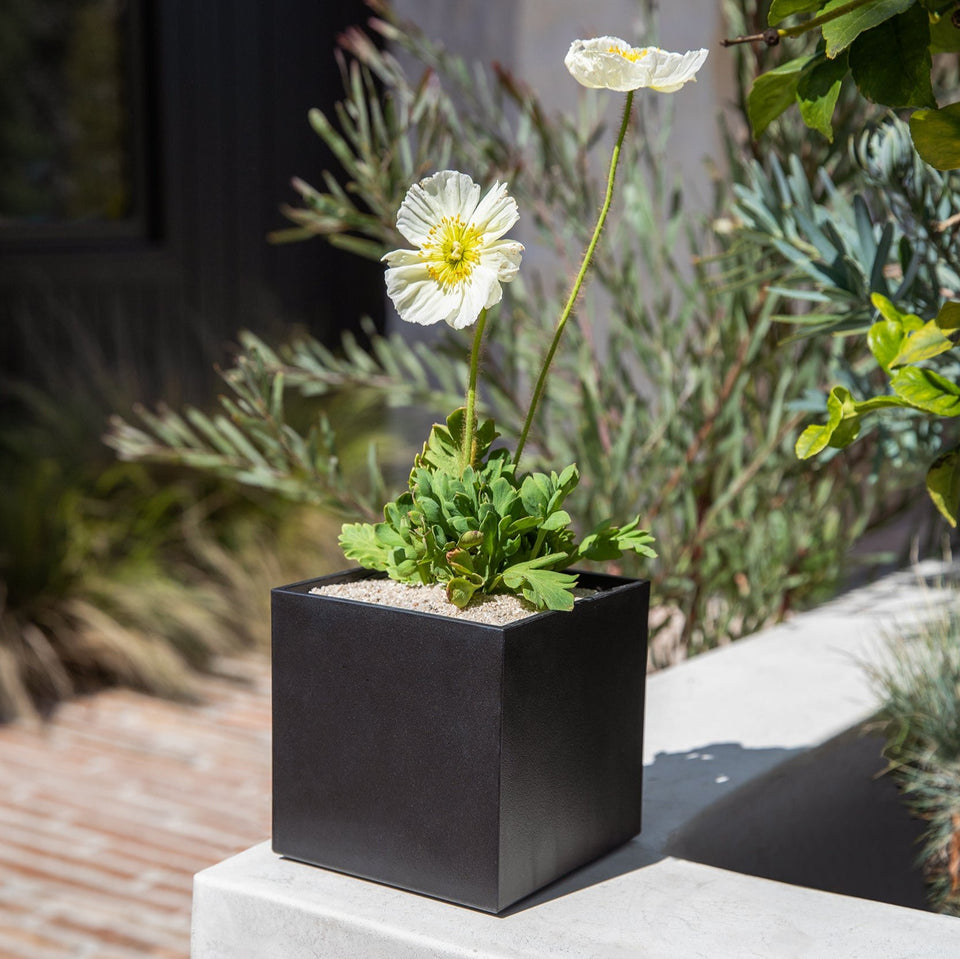 geo cube planter