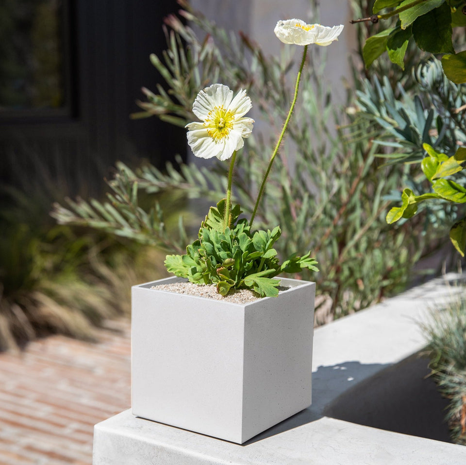 geo cube planter