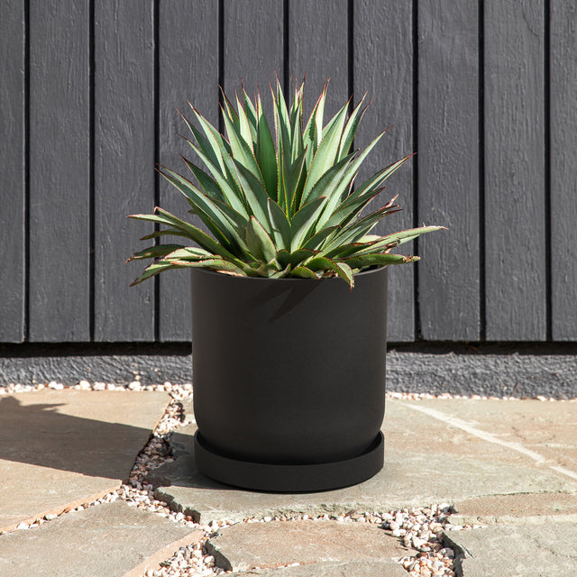 mason kona planter