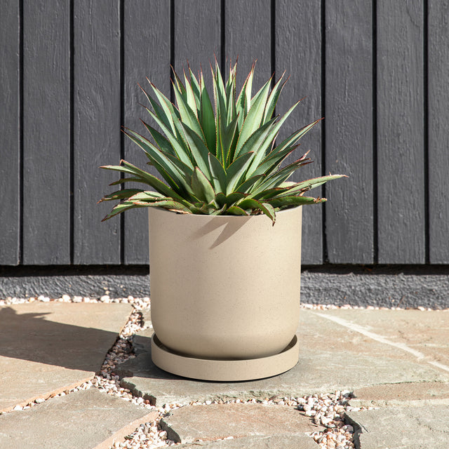 mason kona planter