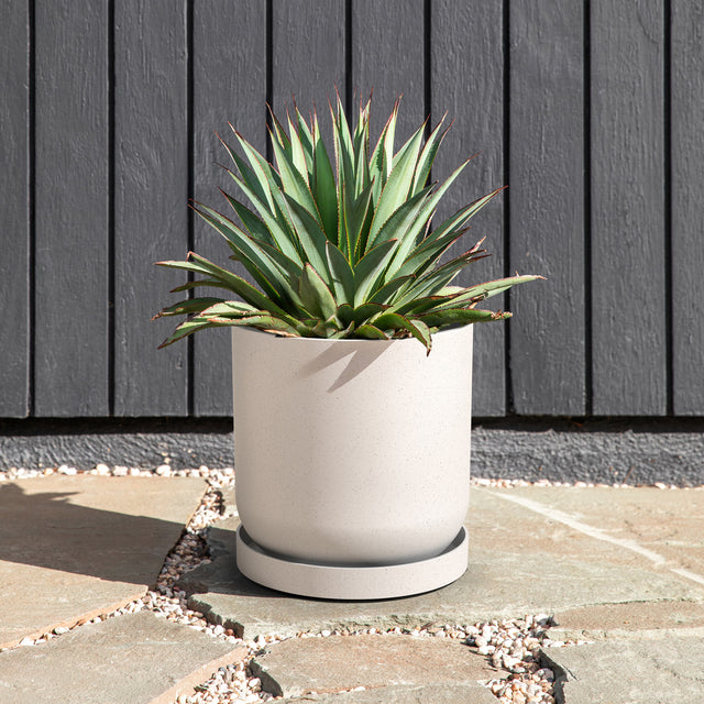 mason kona planter