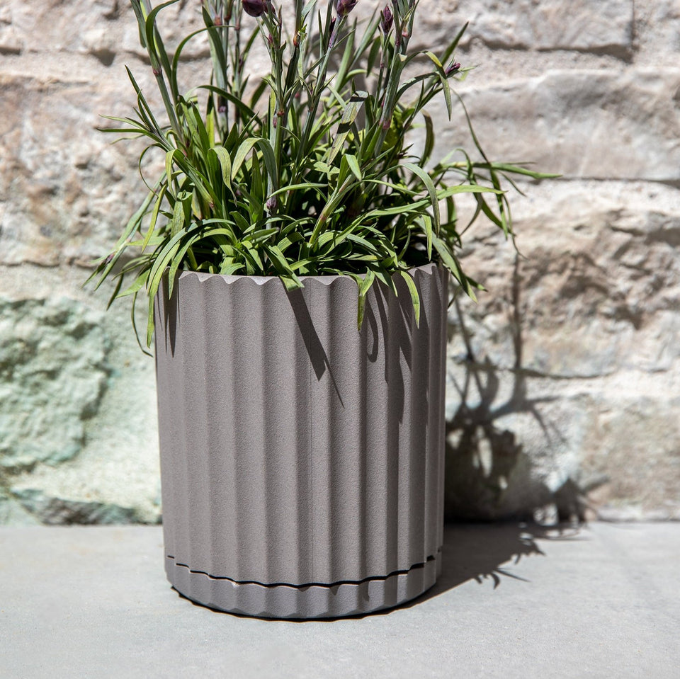 demi six planter