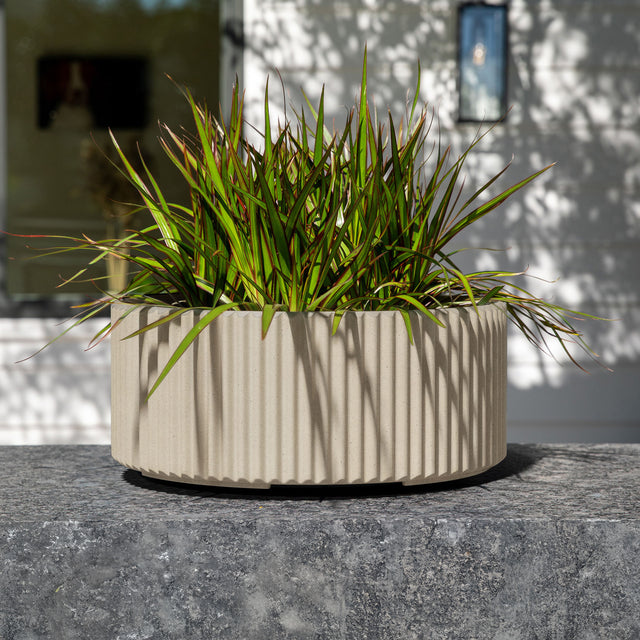 mod bowl planter duo