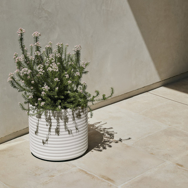 mod short planter
