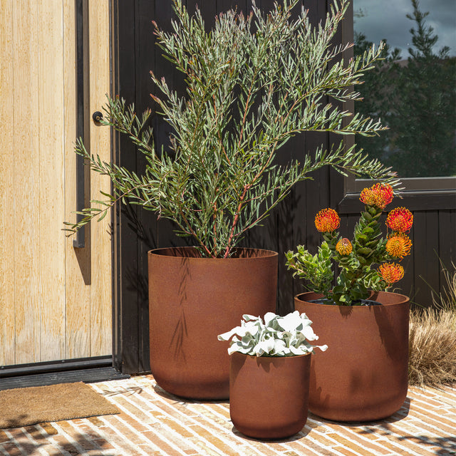 patina kona planter trio