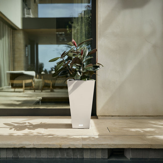pure midland planter