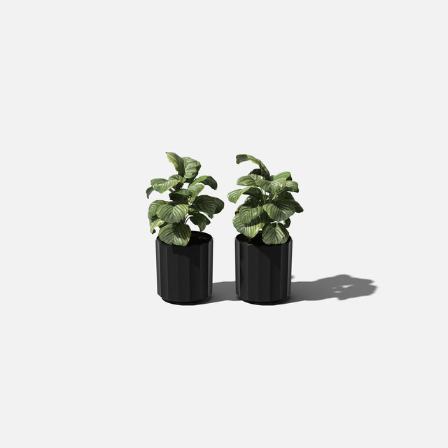 column planter