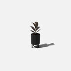 column raised planter