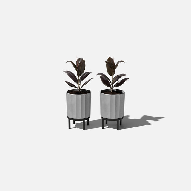 column raised planter