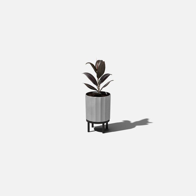 column raised planter