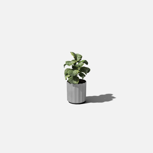 column planter