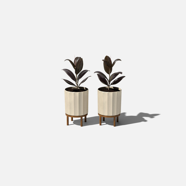 column raised planter