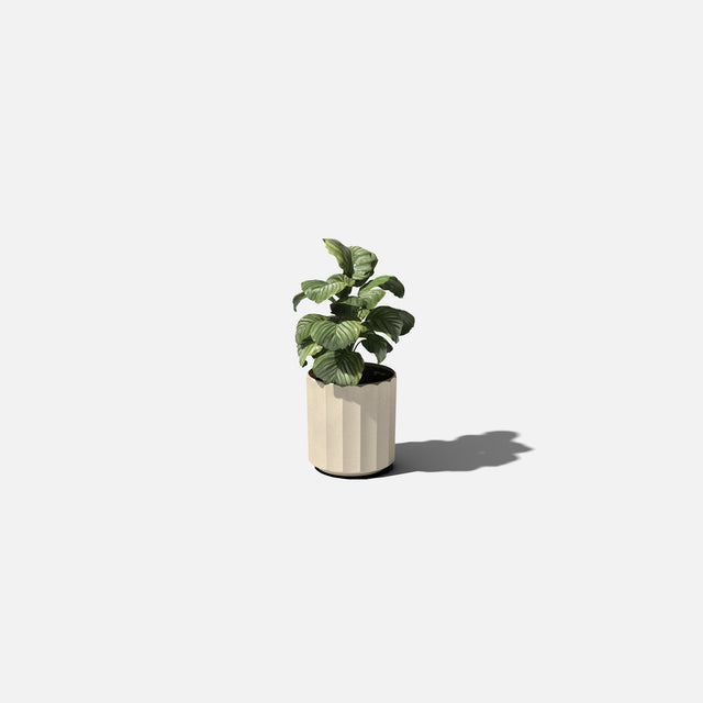 column planter
