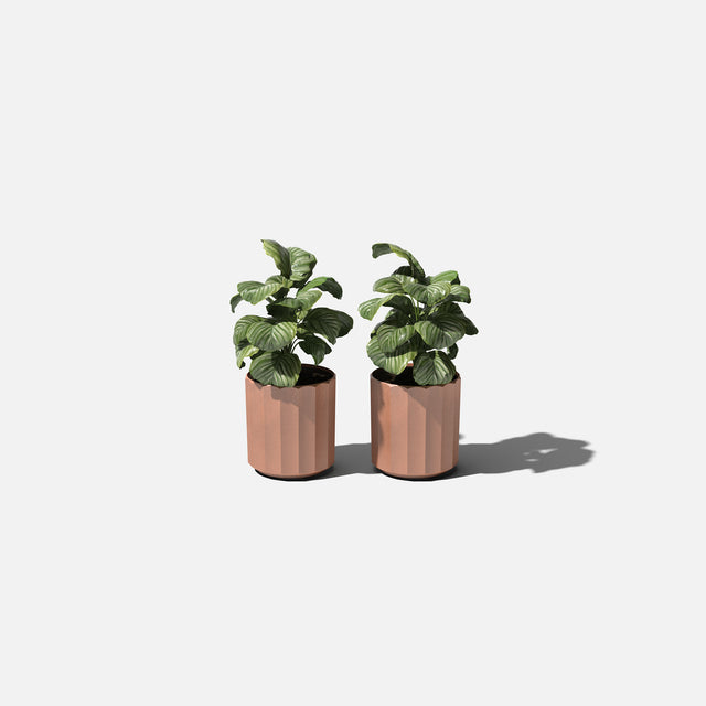 column planter