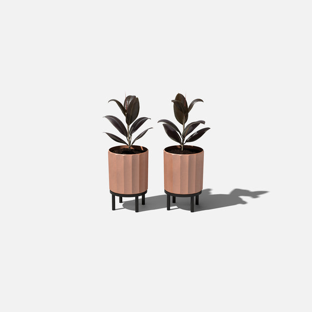 column raised planter