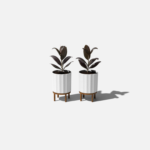 column raised planter