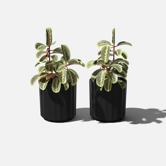 column planter
