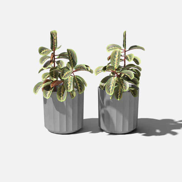 column planter