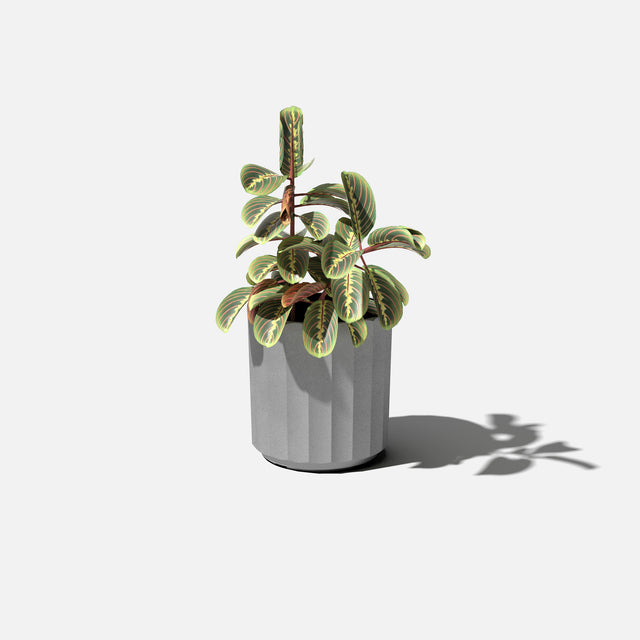 column planter