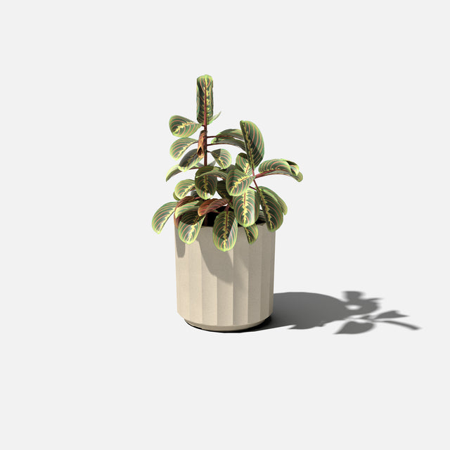 column planter