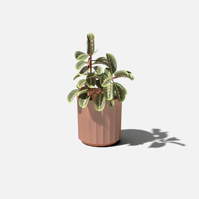 column planter