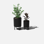 column raised duo