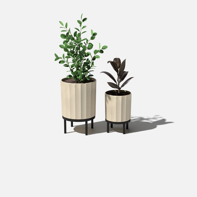 column raised duo