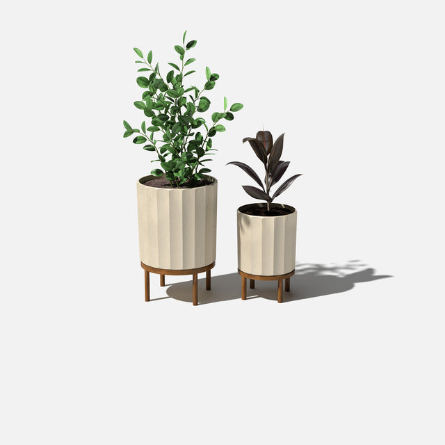 column raised duo