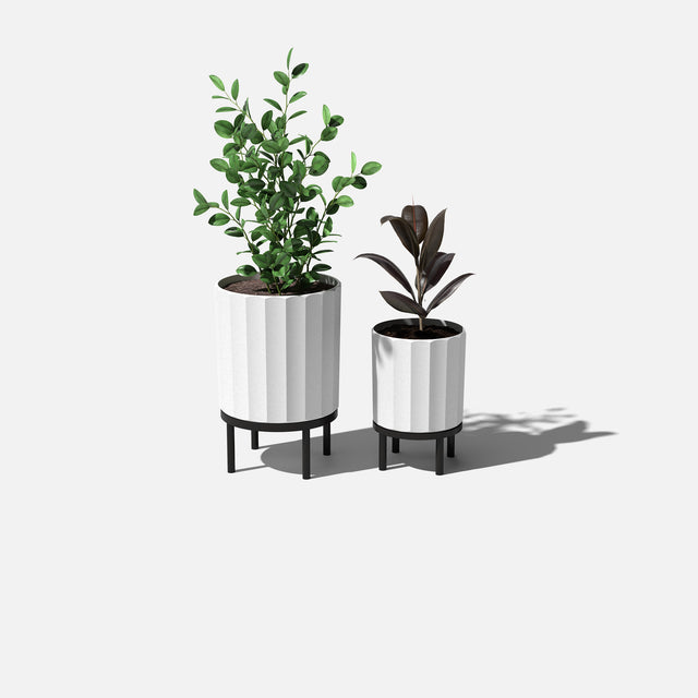 column raised duo